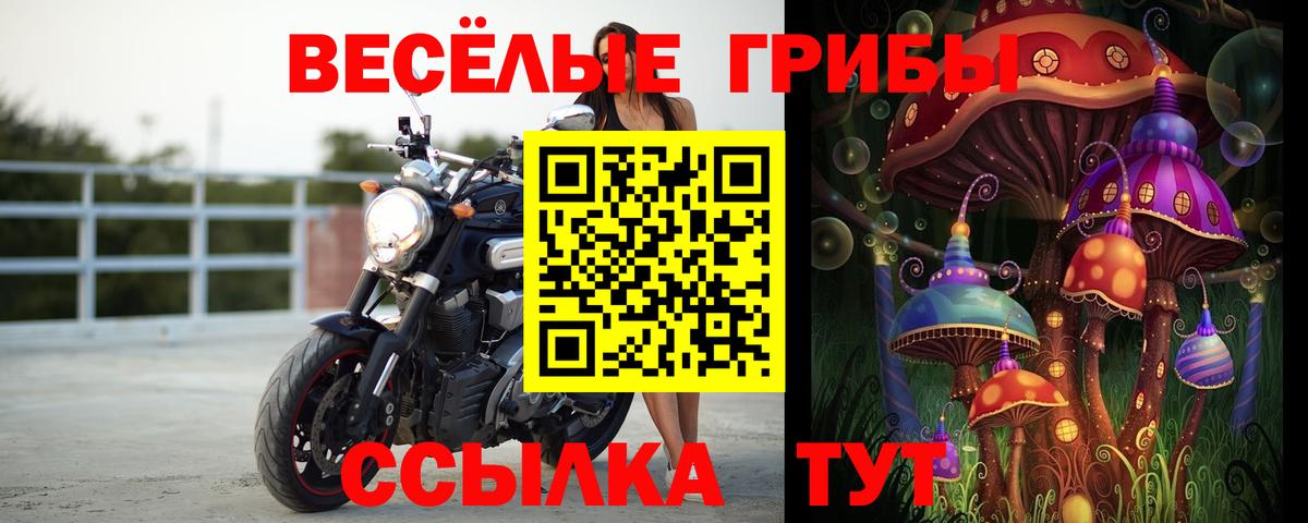 Миллерово  Галлюциногенные грибы мицелий  Псилоцибиновые грибы GOLDEN TEACHER  Вход с VPN 