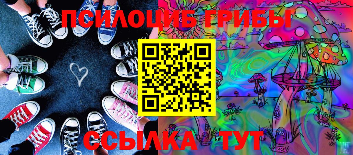 Галлюциногенные грибы Cubensis Миллерово